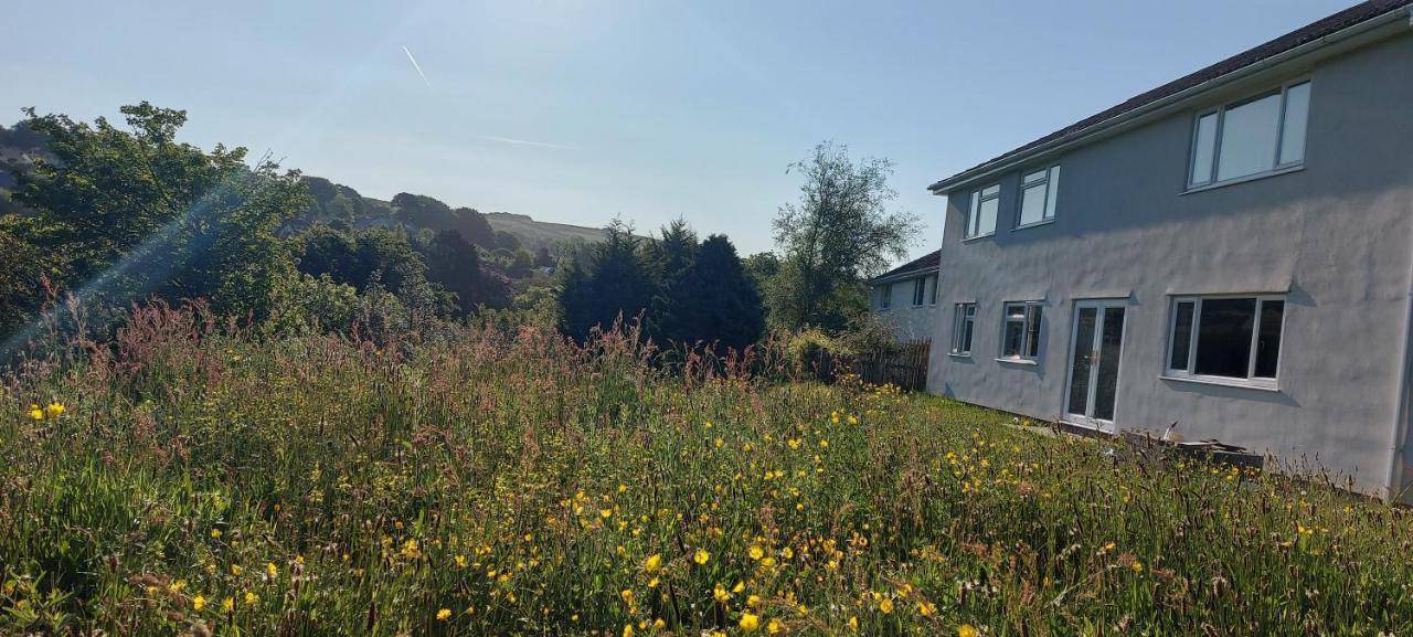 Highfield House, Parracombe, Modern B&B Dış mekan fotoğraf