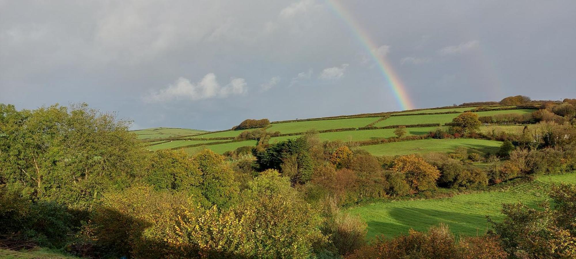 Highfield House, Parracombe, Modern B&B Dış mekan fotoğraf